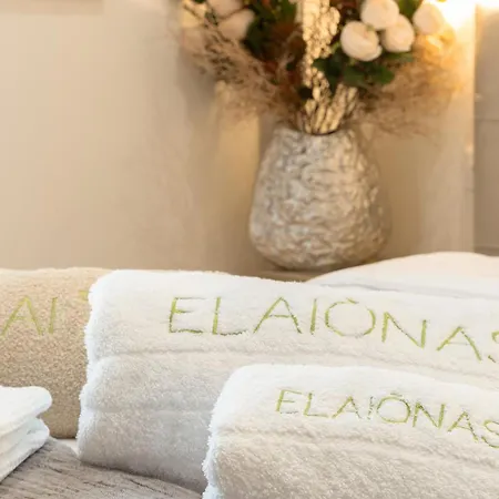 Daire Elaionas Luxury