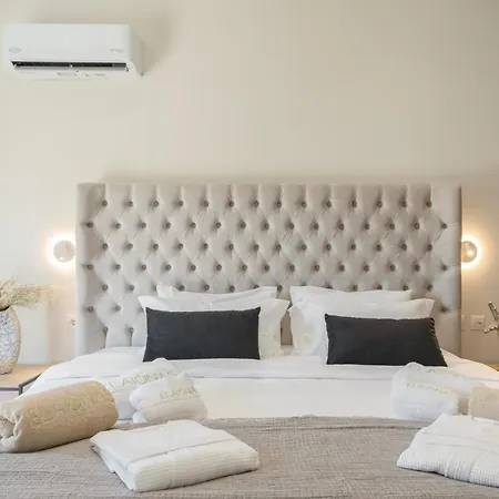 Elaionas Luxury 公寓 *